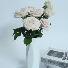 Wholesale Natural High Quality Fresh Cut Roses for Home & Wedding Decoration