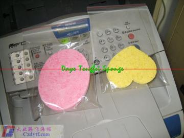 cleansing sponge