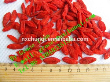 NINGXIA GOJIBERRY DISTRIBUTOR/GOJI DRIED RED MEDLAR