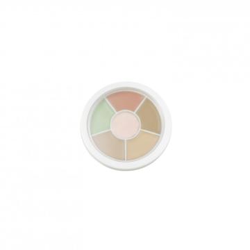 MULTIFUNCTION COLOR CORRECTING PALETTE