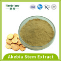 Triterpenoid saponins 10:1 Akebia Stem Extract