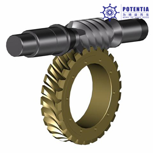 Customized Worm Gear supplier