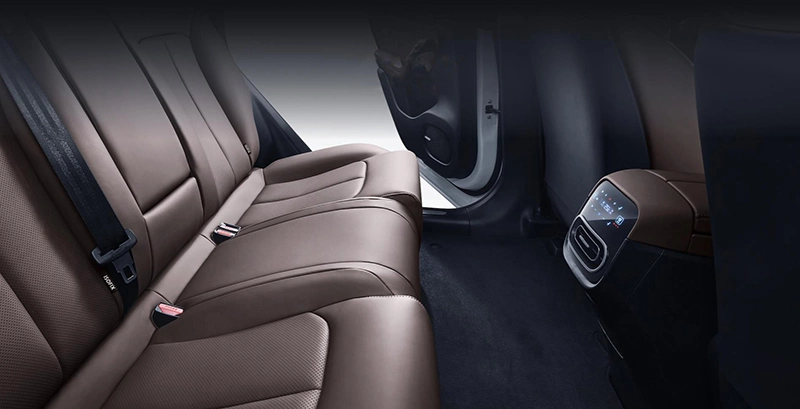 China New Energy Vehicle Leapmotor C11 Automobile Super Long Range SUV Luxury Electric Car with Automatic