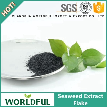 Top Quality Seaweed Extract Flake Organic Fertilzier Seaweed Extract Fertilizer