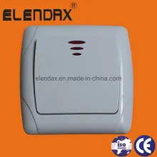 European 10A Wall Switch with Indicate Light (F3101)