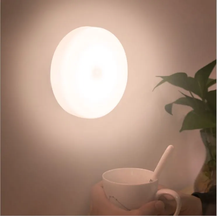 Amazon 1W 6LED Intelligent Battery Body Sensor Lamp