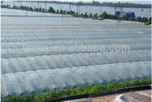 50microns low tunnel greenhouse film