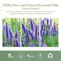 High Quality 100% Pure Hyssop Essential Oil At Wholesale Price