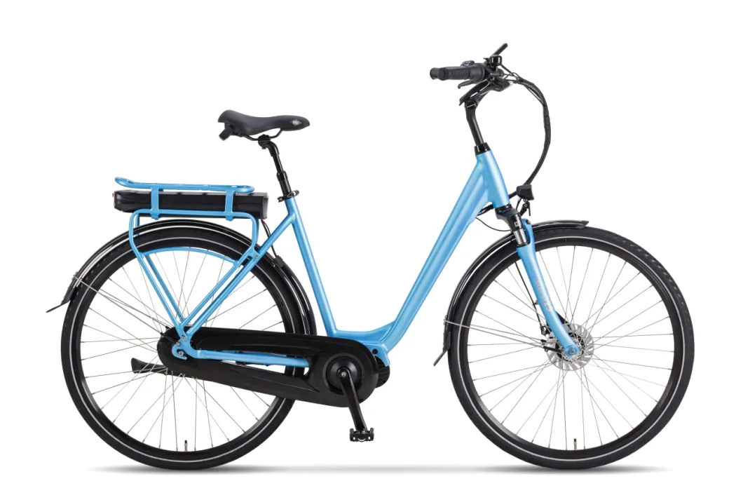 High Quality Road City Electric Bike with 350W Hub Motor