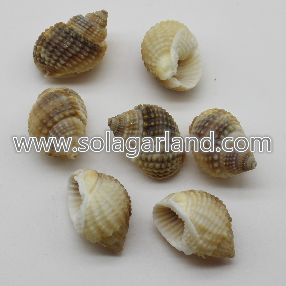 Natural Sea Shell Spiral Beads 