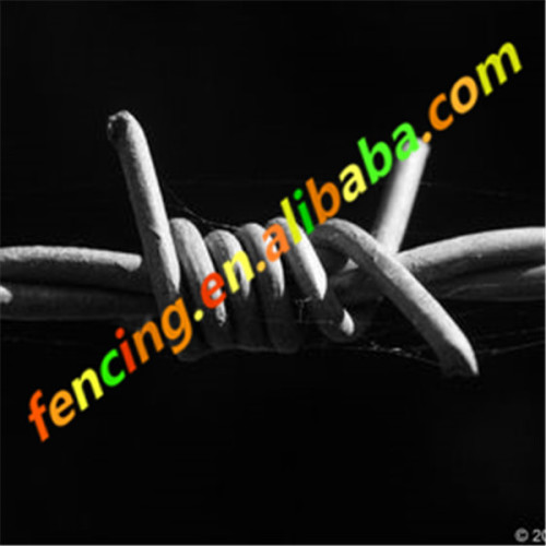 Barbed Wire Fence Mesh Installing Barbed Wire