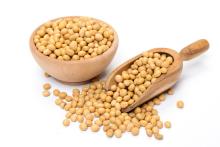 Soybean Isoflavones