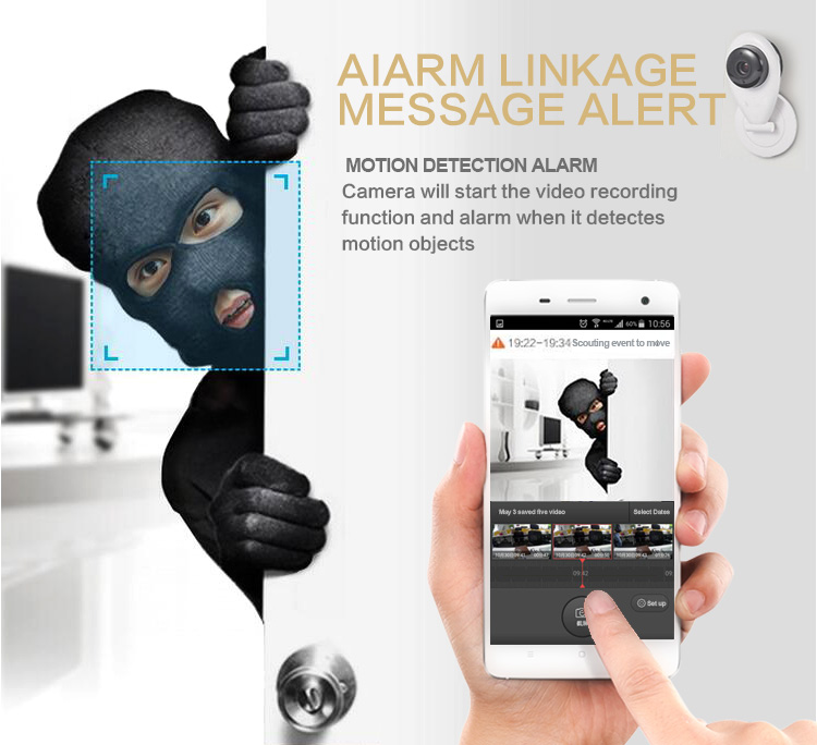 Alarm IP Camera