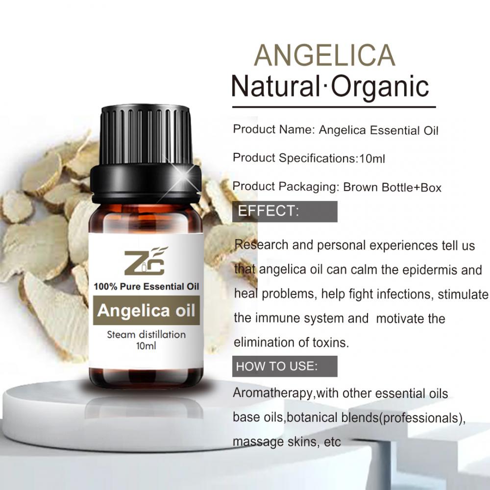 Aceite de raíz de angelica natural 100% puro