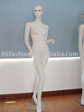 plastic model(female)