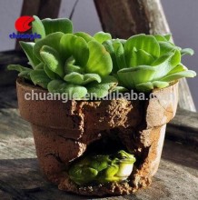 Craft Home Decoration,Oem Resin Craft