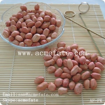 New Crops Red Skin Peanut Kernel