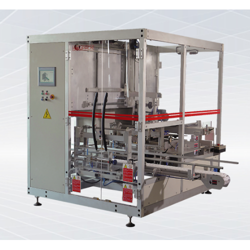 Auto Carton Loading Machine