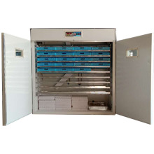 Large Chicken Incubators for Sale: Digital Egg Incubator 3168 Eggs
