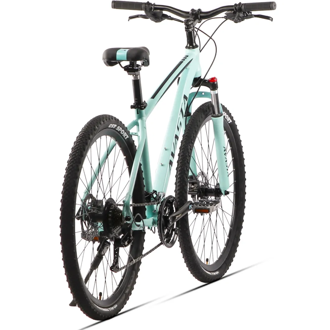 Cheap Bike Steel Frame 11 Speed MTB Mountain Bicycle