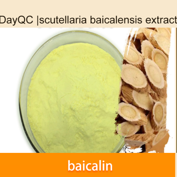 Scutellaria Baicalensis Extract powder