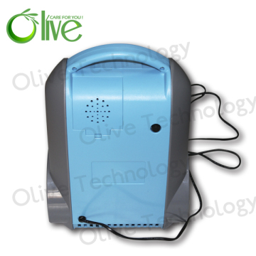 Continuous Dual Flow Oxygen Concentrator Hepa Filter