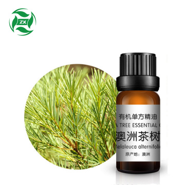 natural Australian tea tree oil price in bulk