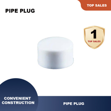 Corrosion-Resistant DN25 Pipe Plug