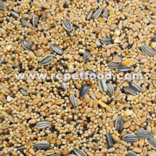 Premium food for pet birds  canary seed