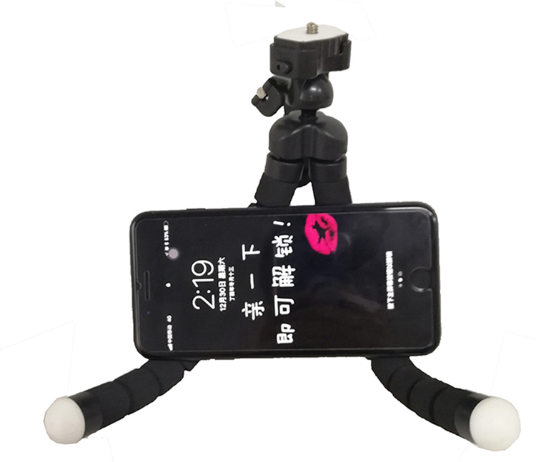 Flexible sponge octopus tripod