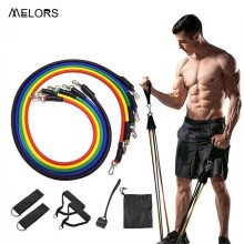 Resistance Bands with Handles Exercise Bands Workout Equipment Set for Men Women Elastic Bands for Exercise (11pcs)