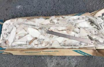 Frozen Arrow Squid 400-600g
