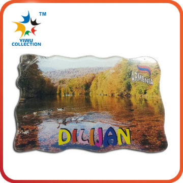 souvenir fridge magnet/fridge magnet/ custom fridge magnets