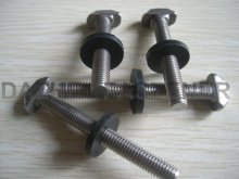 stainless steel T bolts with EDPM washer