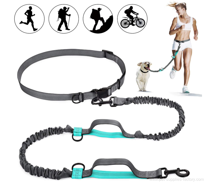 Hands Free Dog Leash