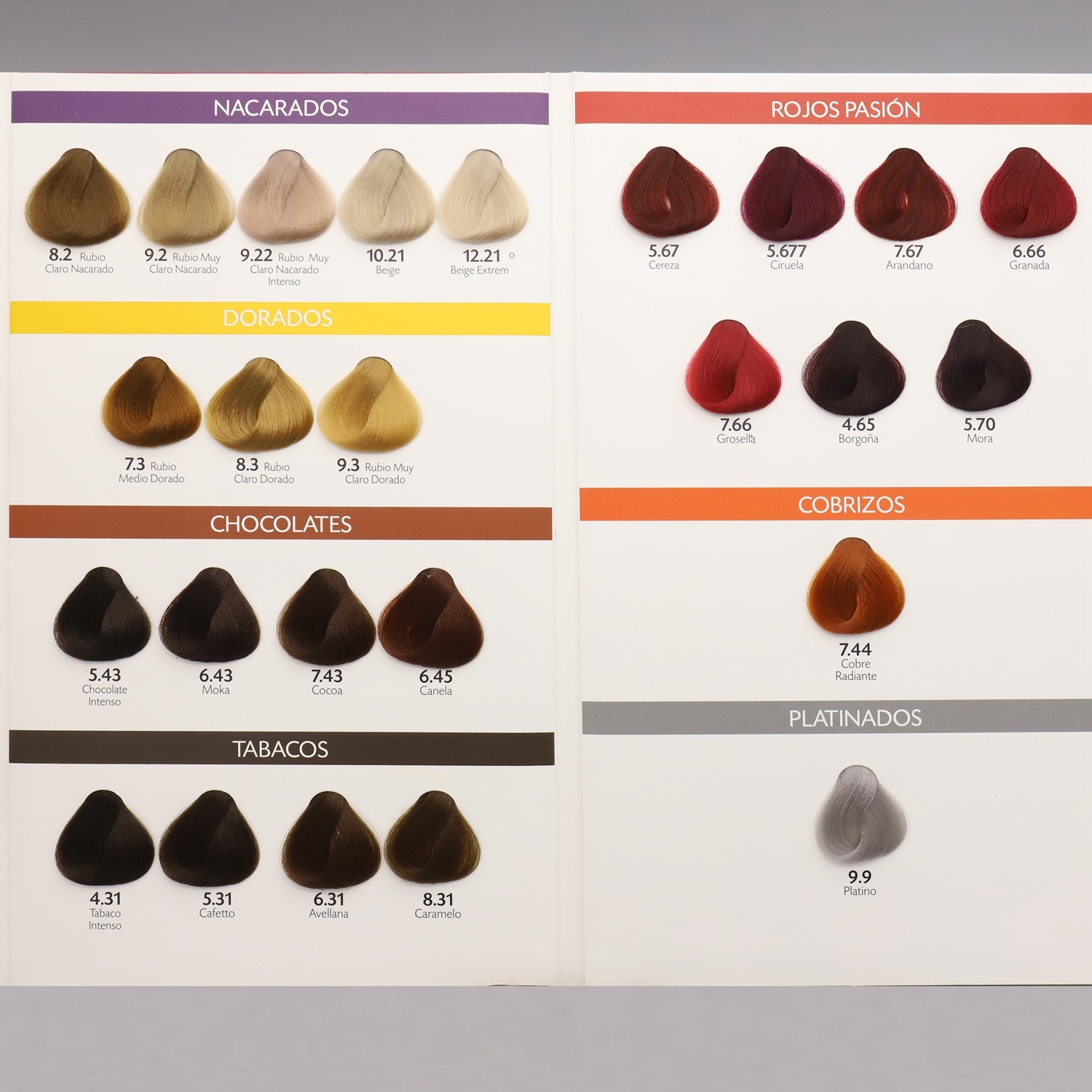 New Hair Material of Hair Color Shade Swatch Book