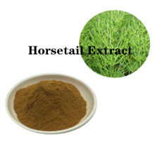 Buy online active ingredients Horsetail Extract powder