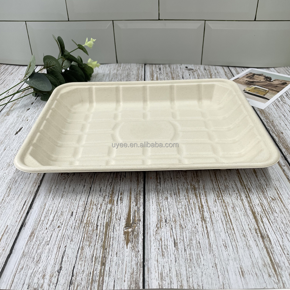 sugarcane bassage pulp tray