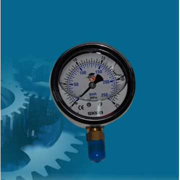 Hydraulic pressure gauge for industrial hydraulic system