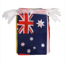 Sunshine Fast Shipping: Countries Triangle British Pennants Bunting Flag