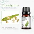 cosmetic grade whitening pure eucalyptus essential oil