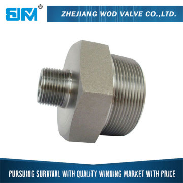 Quality-Assured High Technology Wholesale Gi Nipple Pipe Fitting