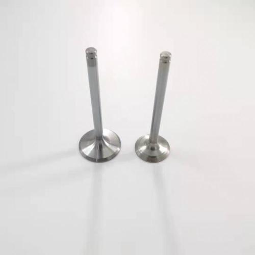 Factory Stock Intake &valve exhaust valve for VW