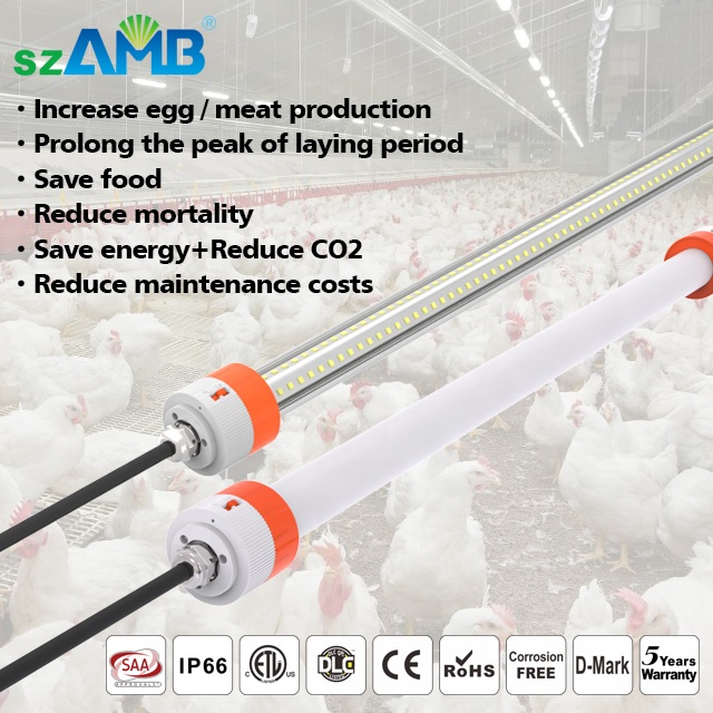 D-Mark approve High Efficiency Flicker Free LED Crown Bulb Light For Poultry Farm