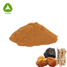 Shilajit, Lion's Mane Mushroom, Aswagandha Extract Mix