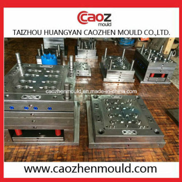 Plastic Injection Flap/Flip Cap Mould in China