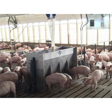 Doppelseitiger Feeder aus Edelstahl für Schweineferkel