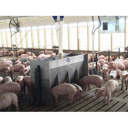 Doppelseitiger Feeder aus Edelstahl für Schweineferkel