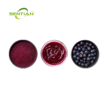 Natural Aronia Berry Extract Powder
