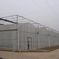 Agriculture en plastique à grande échelle Multi Span Greenhouse à vendre